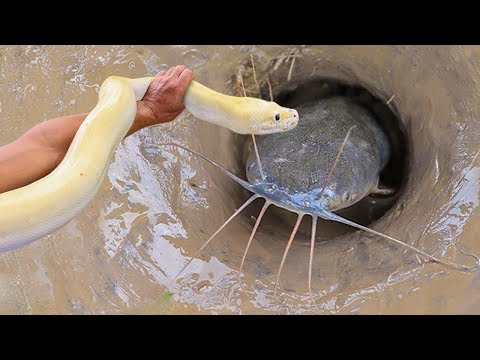 Unbelievable Fishing Technique - Use A Snake To Catch Fish In A Pit Deep In The Ground