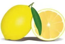طريقة عمل الليمون المخلل فتكات