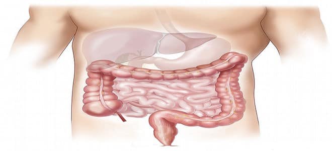 علاج التهاب القولون الهضمي والغازات بالاعشاب نهائيا Colon-herbs-treatment