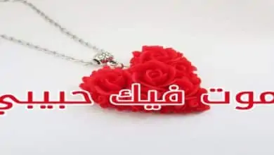 صباح الخير حبيبي حبيبتي