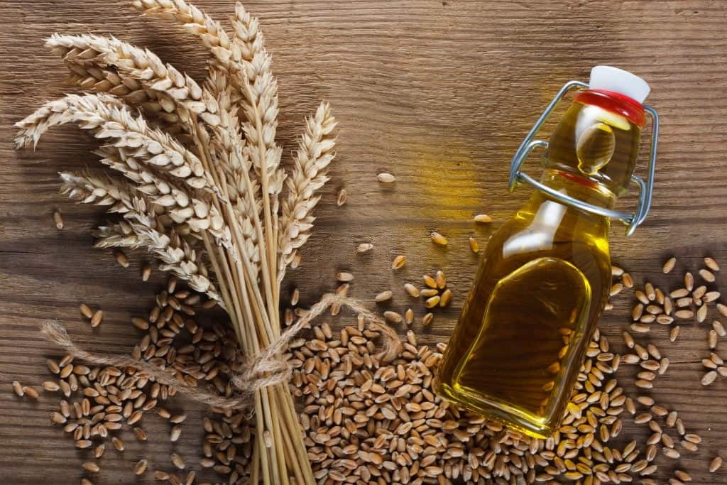 Wheat grain and wheat germ oil