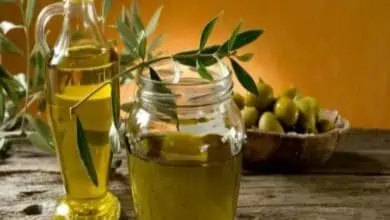 أضرار زيت الزيتون للشعر