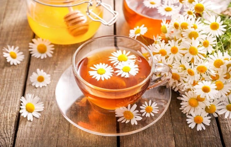 chamomile