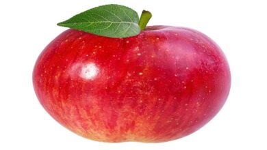 كم عدد السعرات الحرارية في التفاحة