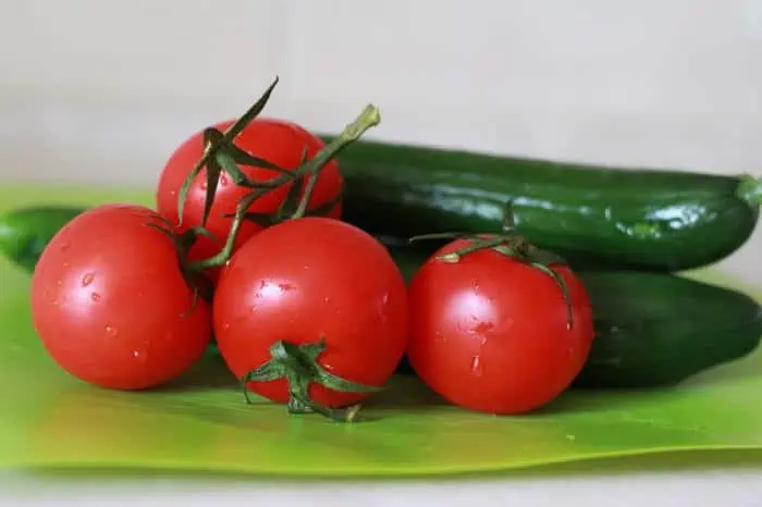 اختلاف التغذية في الطماطم والخيار