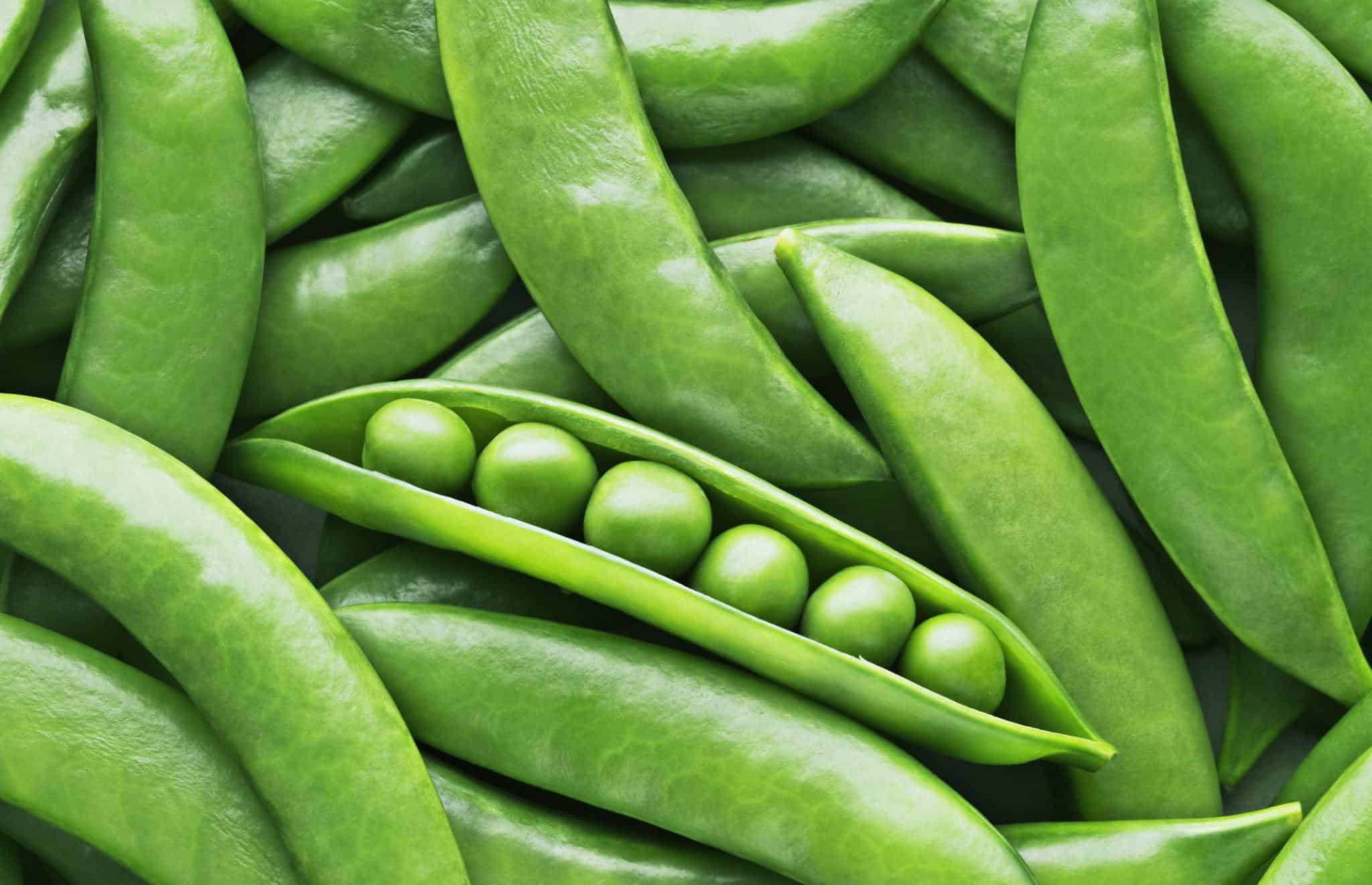 peas benefits