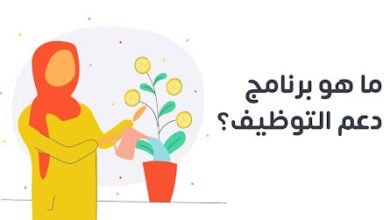 دعم التوظيف